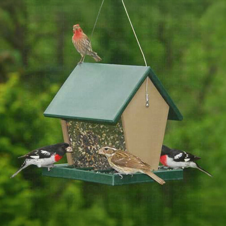 Hopper Feeder