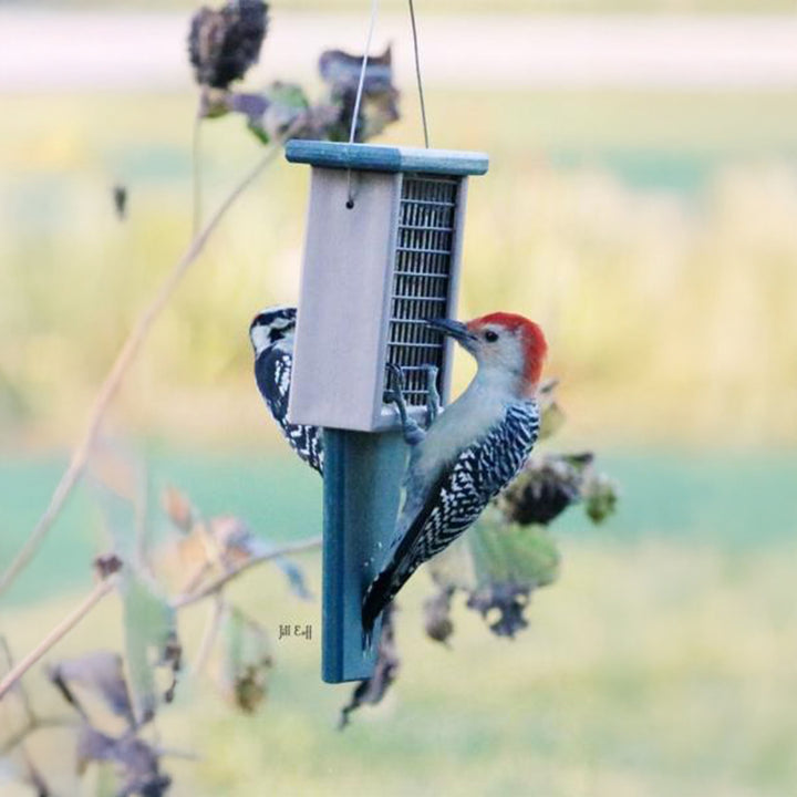 Suet Feeder with Tail Prop