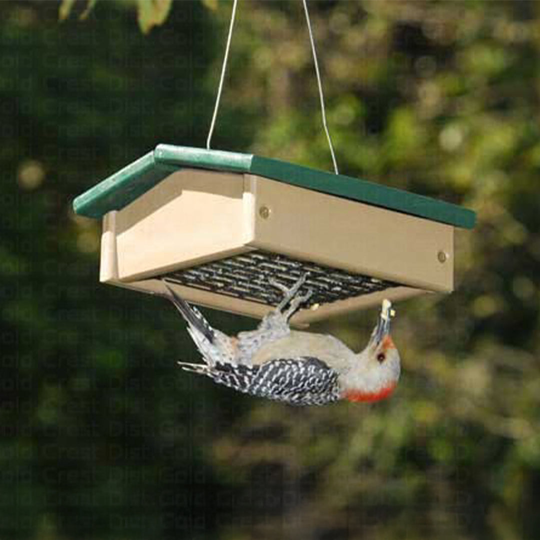 Upside Down Suet Feeder