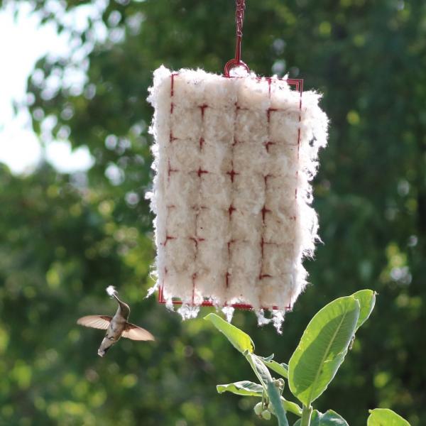 Hummingbird Helper Cage with Nesting Material