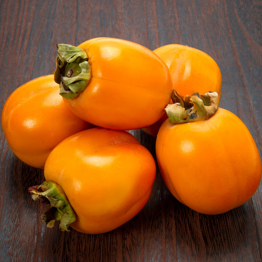 Saijo Persimmon
