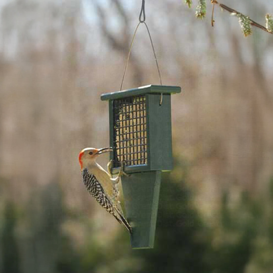 Suet Feeder with Tail Prop
