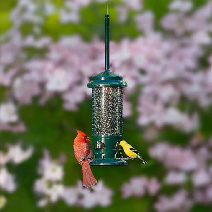 Squirrel Buster Standard Feeder