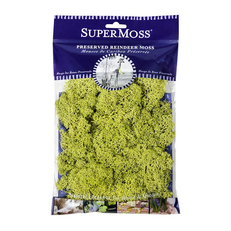 Chartreuse Reindeer Moss 120 cubic inches