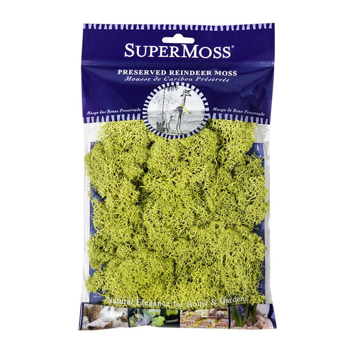 Chartreuse Reindeer Moss 120 cubic inches