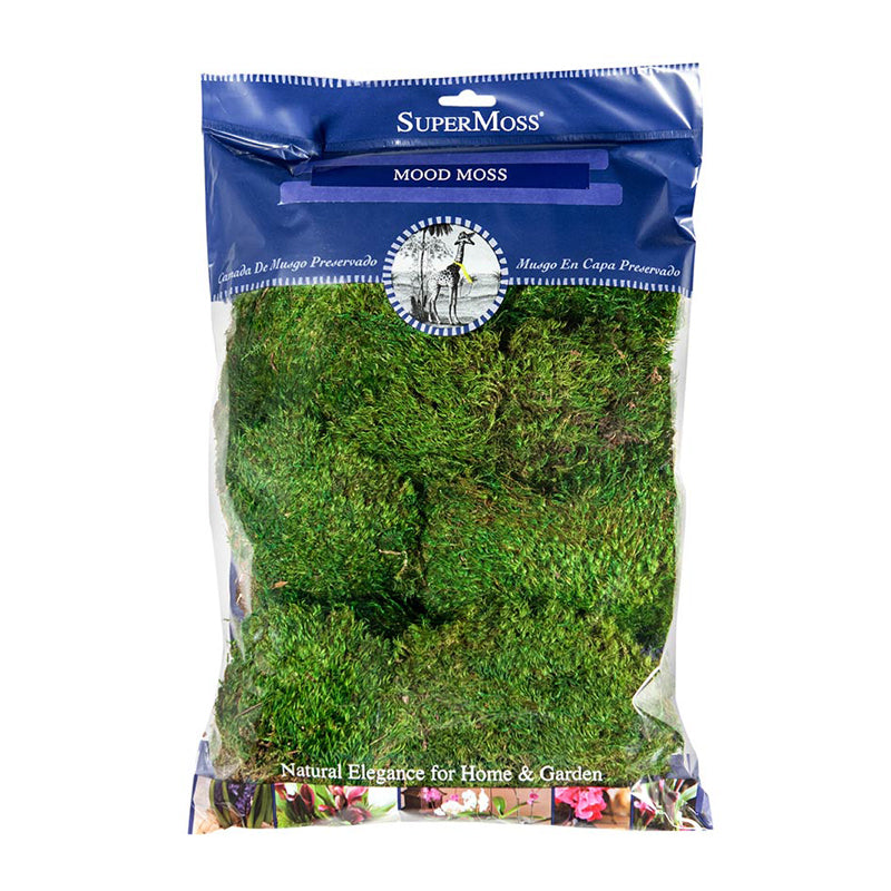Mood Moss Preserved