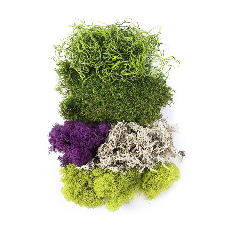 Best Sellers Moss Mix