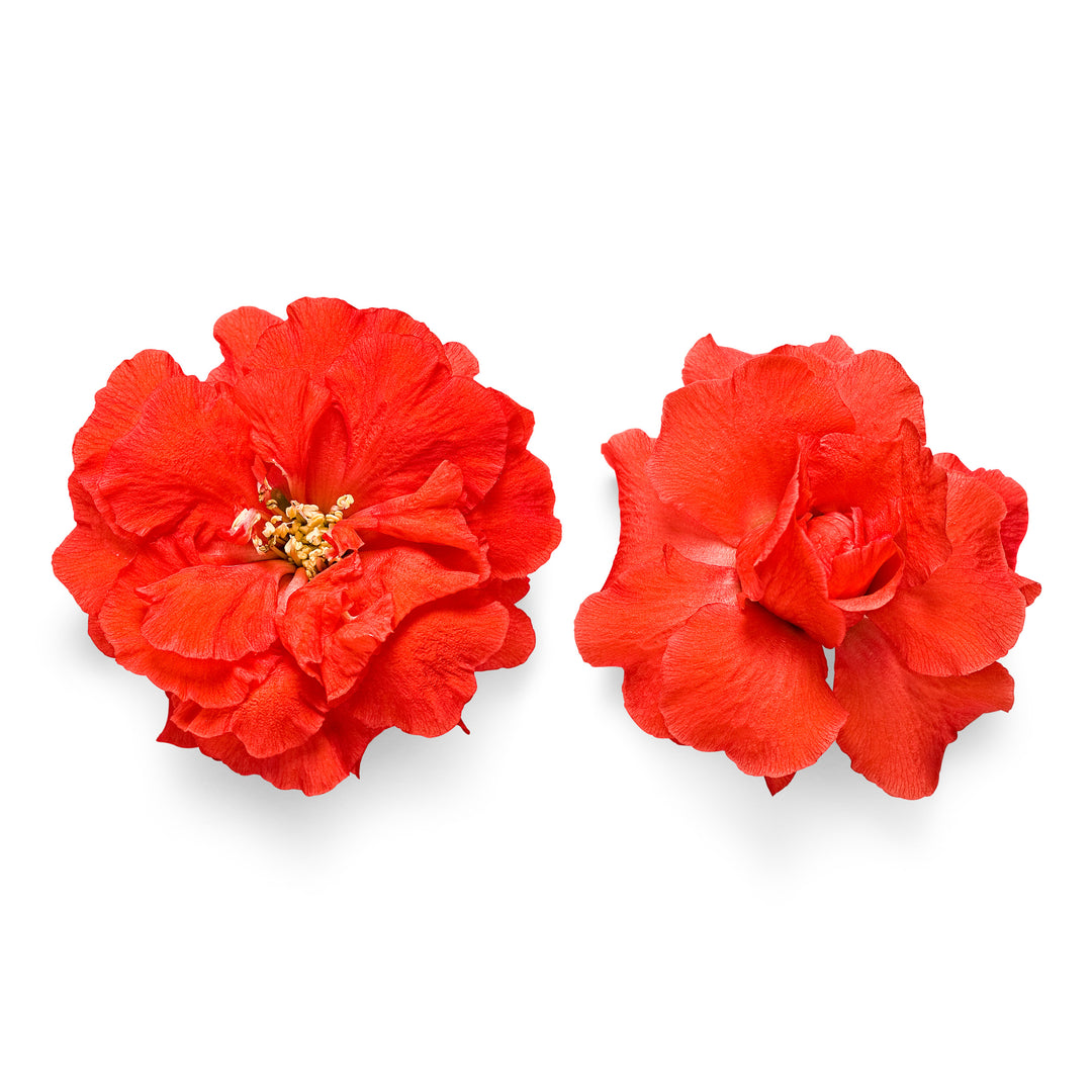Double Take® Orange Quince
