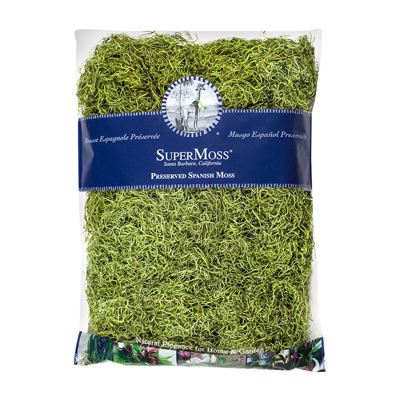 Basil Green Preserved Spanish Moss 534 cubic inches