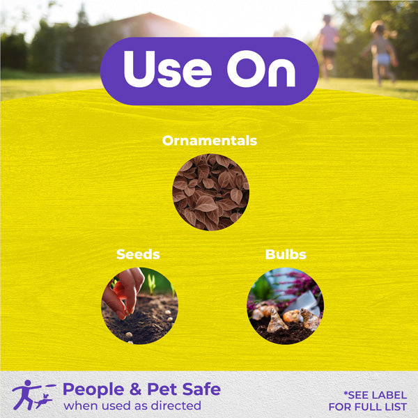 Bonide MoleMax Repellent