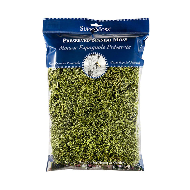 Basil Green Preserved Spanish Moss 325 cubic inches