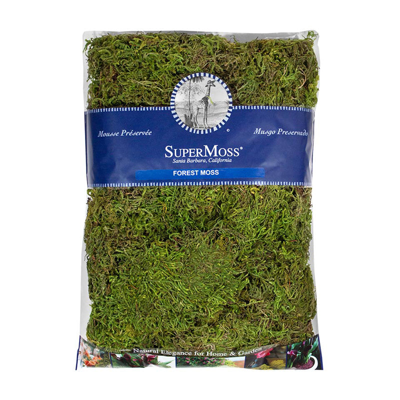 Forest Moss Preserved 534 cubic inches
