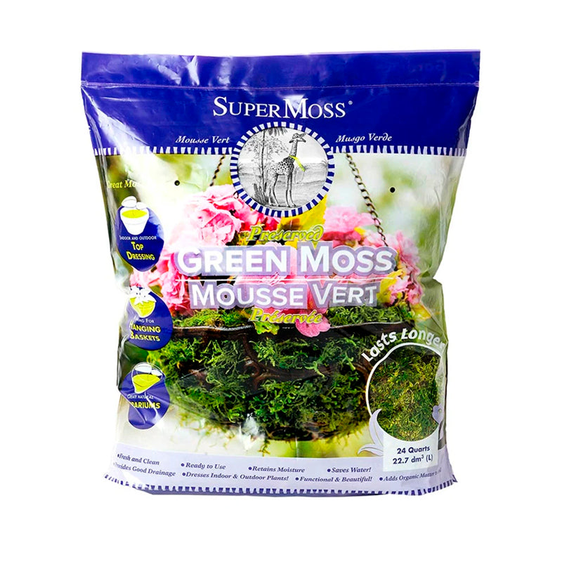 Forest Moss Preserved 24 Quarts