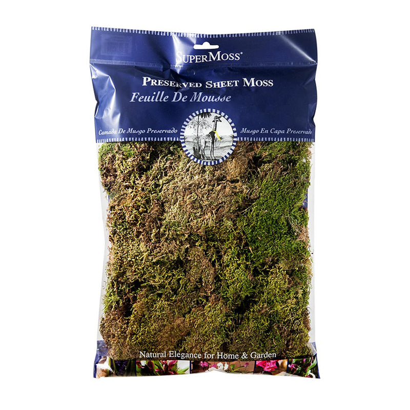 Feather Moss