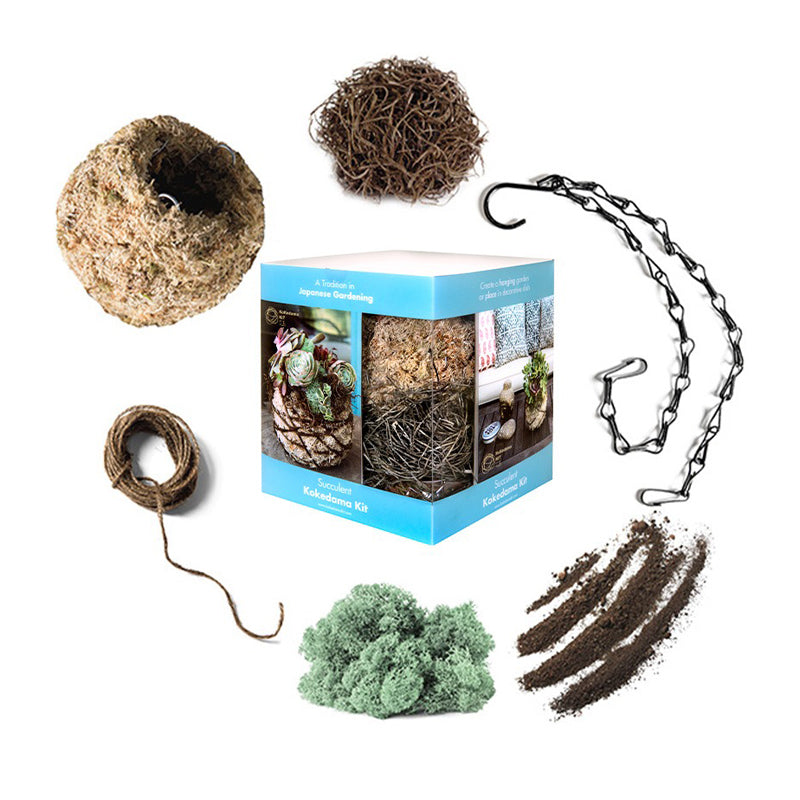 Succulent Kokedama Kit