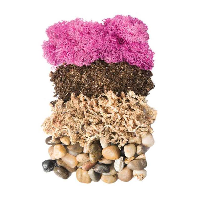 Terrarium Jar DIY Kit