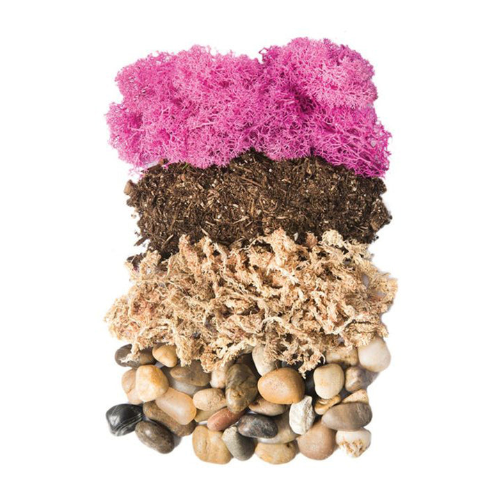 Terrarium Jar DIY Kit