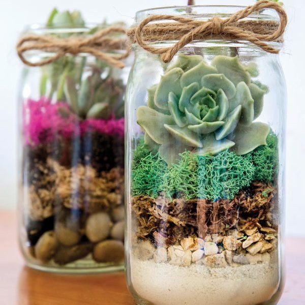 Terrarium Jar DIY Kit