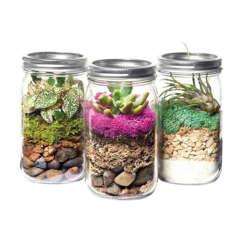 Terrarium Jar DIY Kit