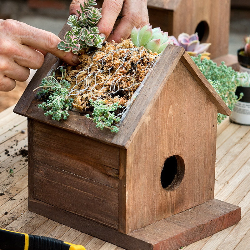 Sphagnum Moss Mini Bale