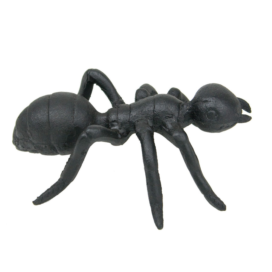 Iron Black Ant