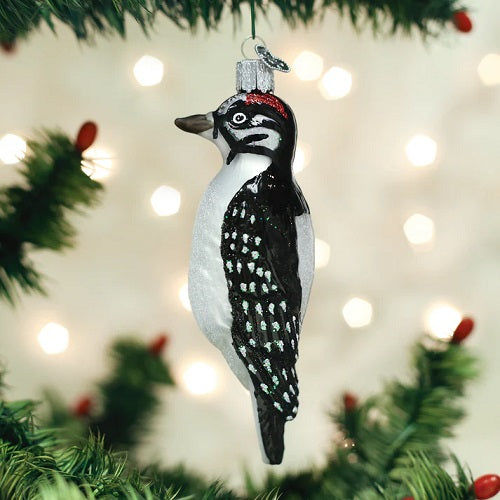 Old World Hanging Hairy Woodpecker Glass Ornament- 5"