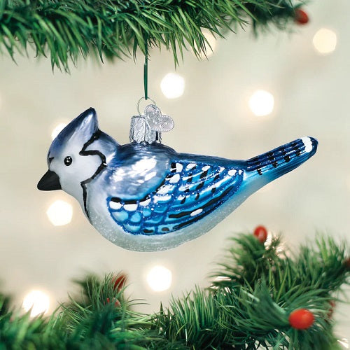 Old World Bright Blue Jay Glass Ornament - 5"