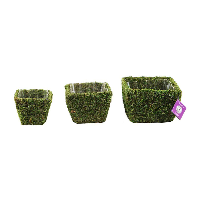 Windsor Deco Moss Basket