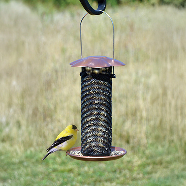 Petite Thistle Feeder