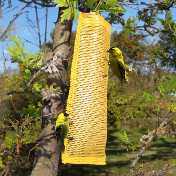 Finch Magic Thistle Sack