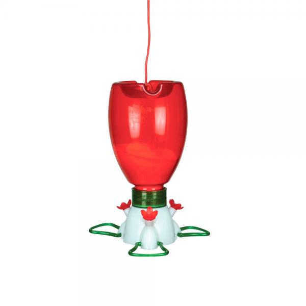 Hummingbird Feeder Kit