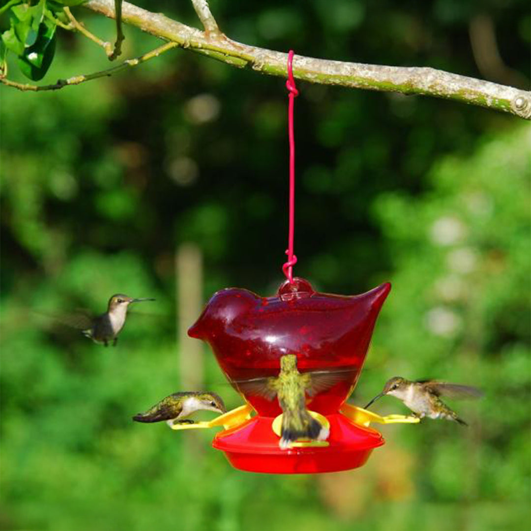 Red Bird Hummingbird Feeder