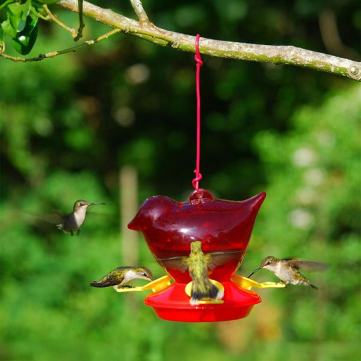 Red Bird Hummingbird Feeder