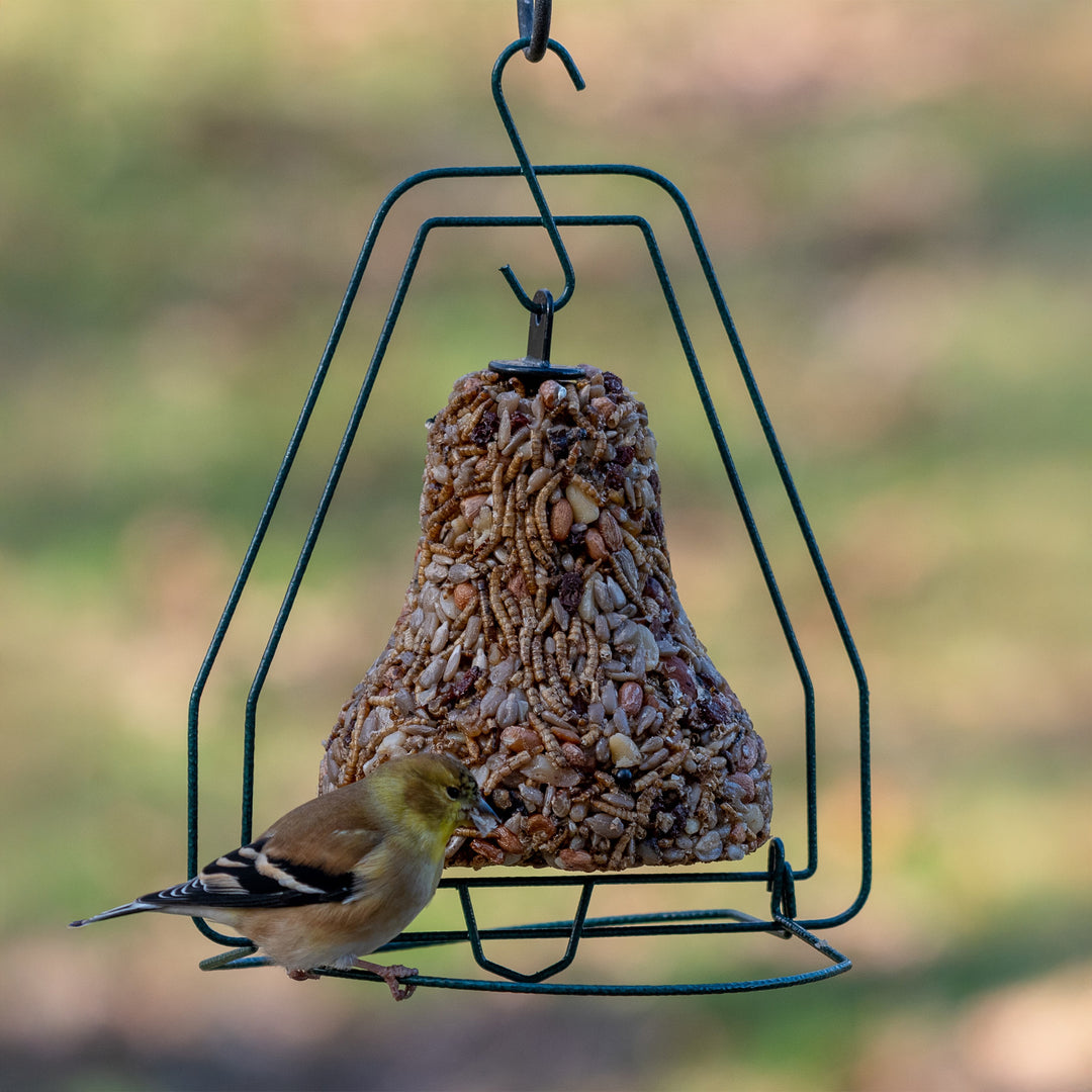 Mr. Bird Birdseed Bell