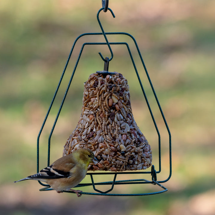 Mr. Bird Birdseed Bell