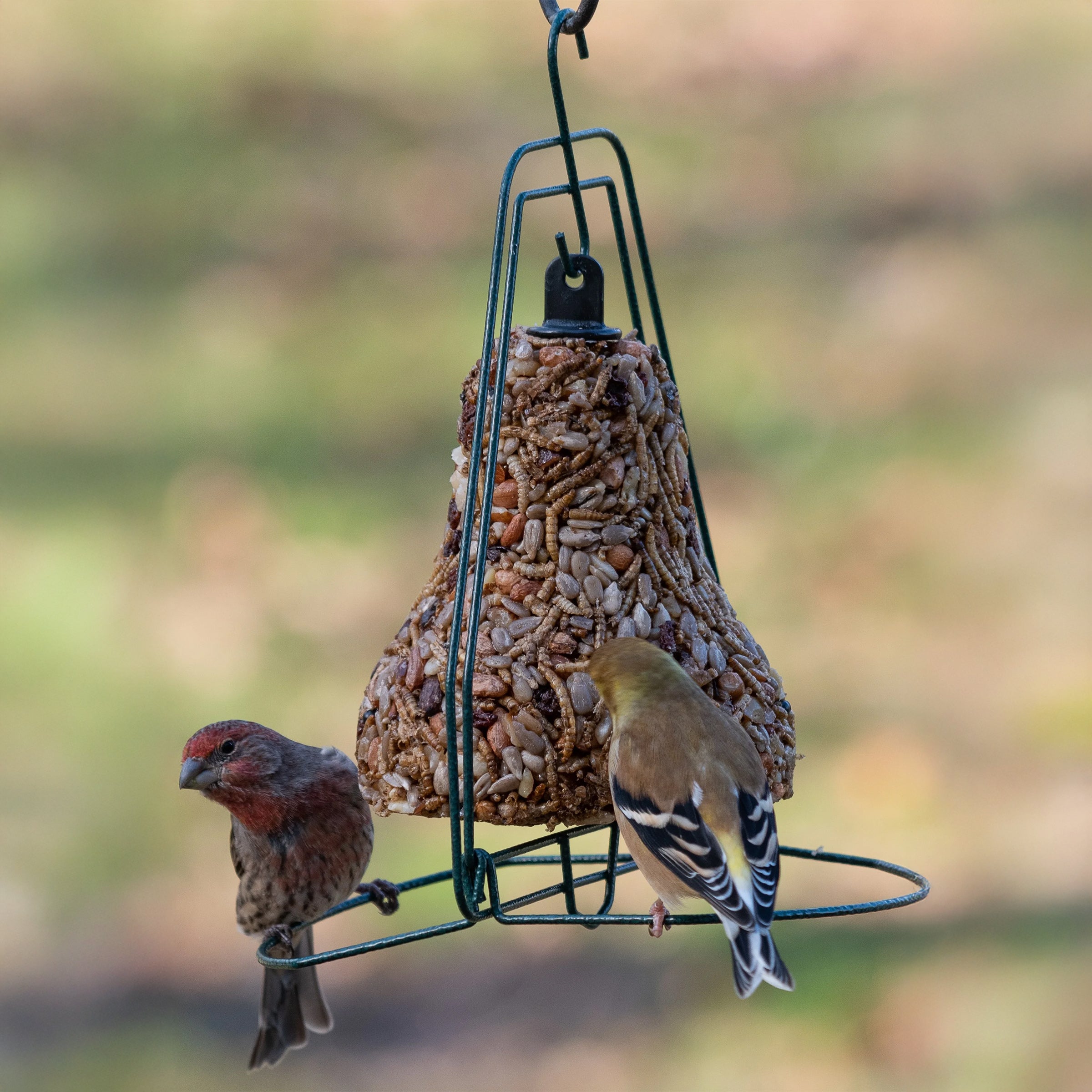 Mr. Bird Birdseed Bell – Gasper Home & Garden