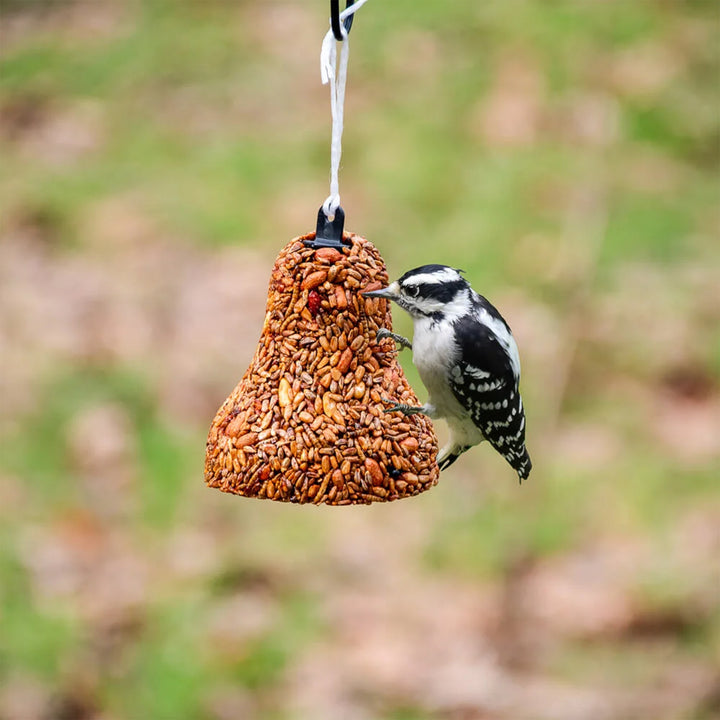 Mr. Bird Birdseed Bell