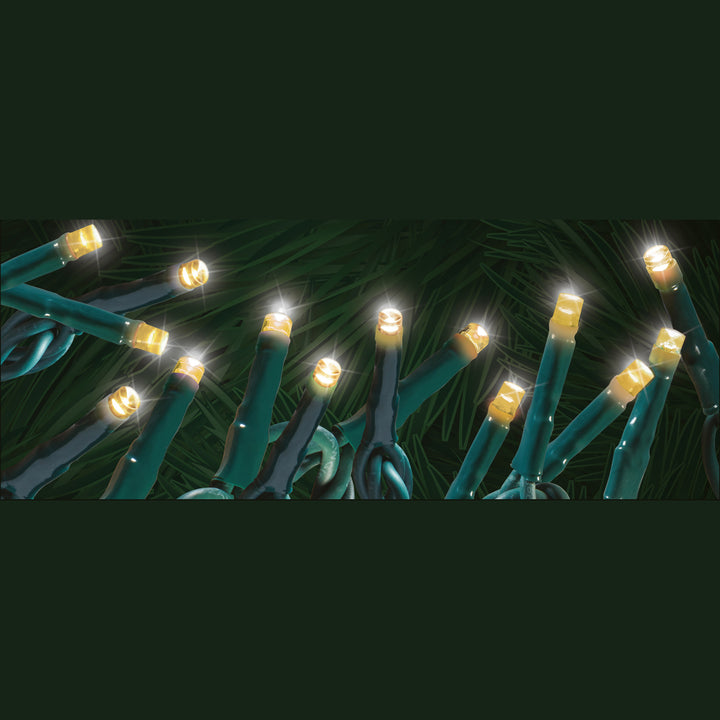 Steady "Starry-Pro Lights" 300L LED String Set