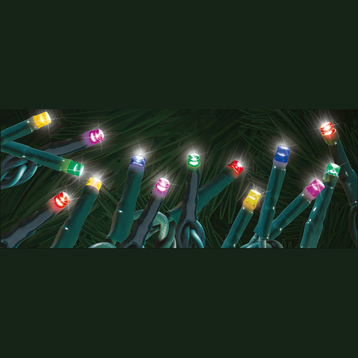 Steady "Starry-Pro Lights" 300L LED String Set