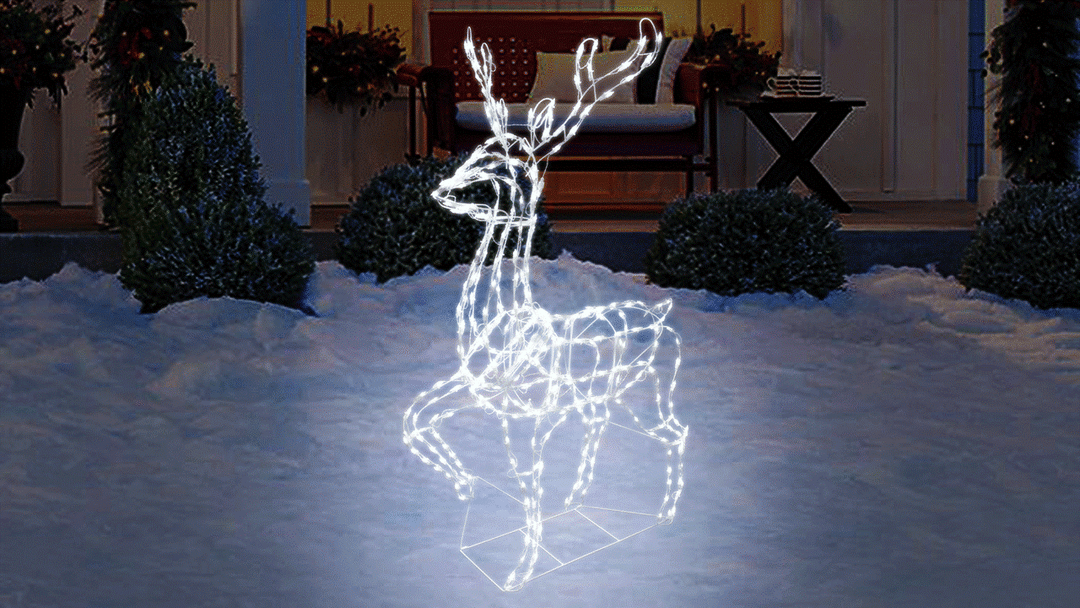 Elegant Buck LED Light Display