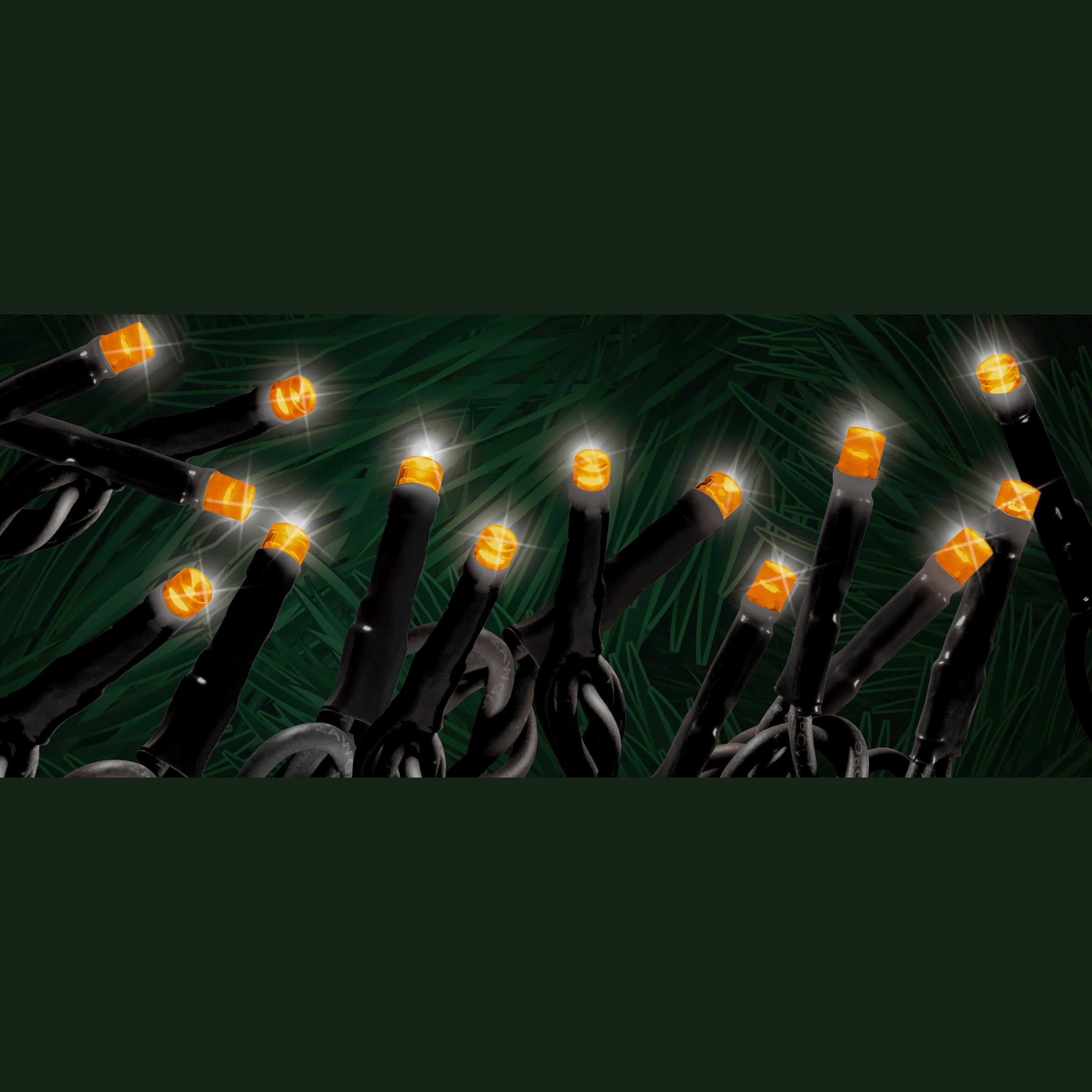 String Lights – Gasper Home & Garden