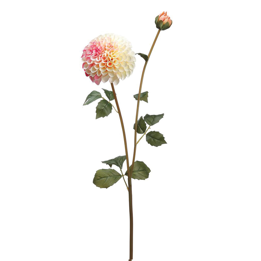 Dahlia & Bud Spray Collection Pink & Cream