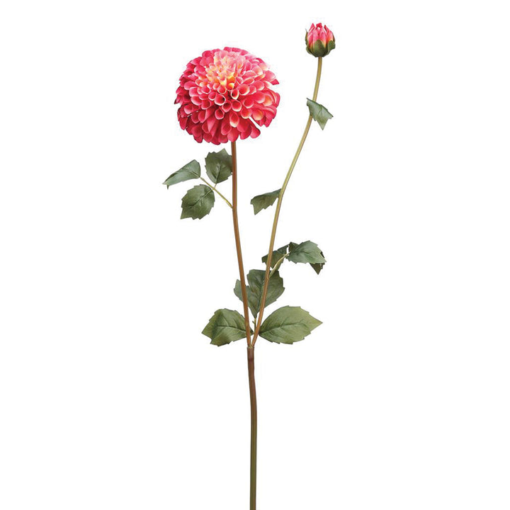 Dahlia & Bud Spray Collection Two-Tone Rose