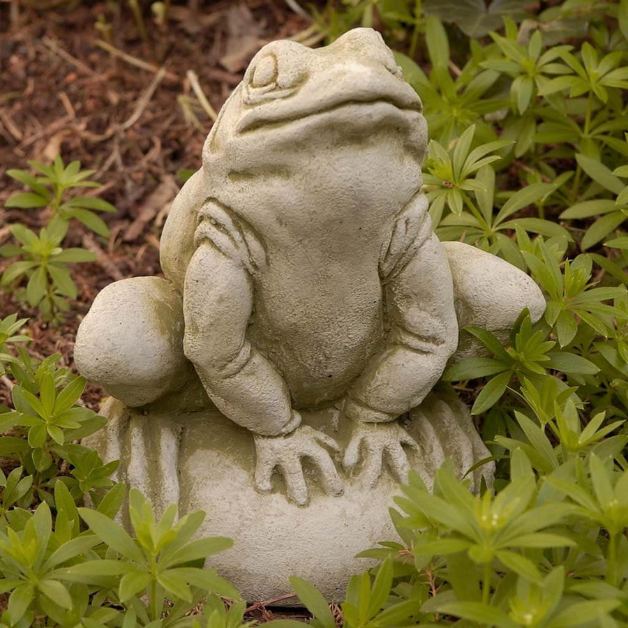 Frankie the Frog