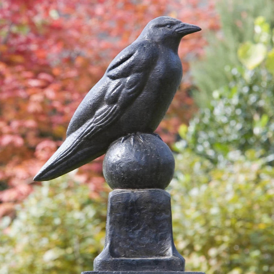 Raven