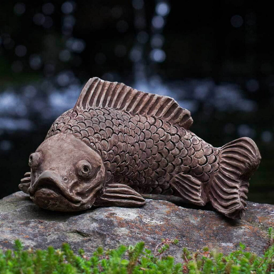 Large Koi