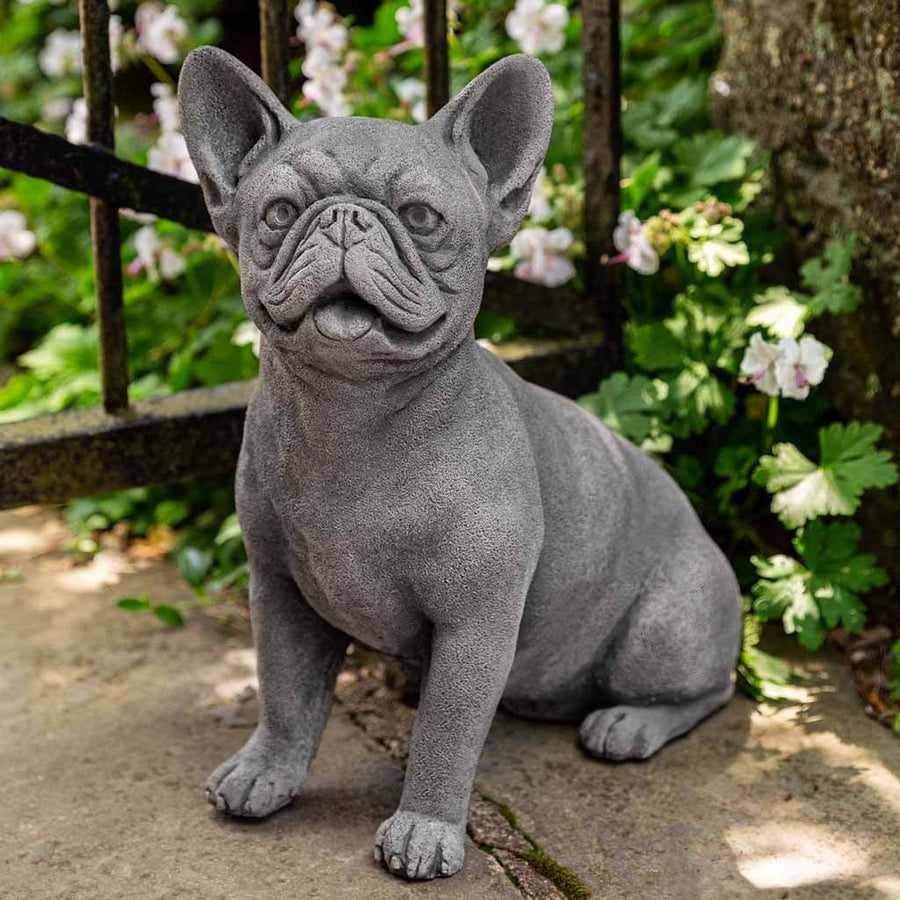 Frenchie