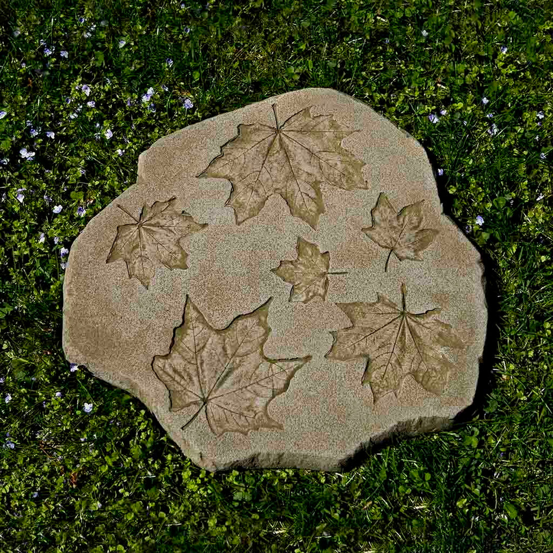 Sugar Maple Stepper