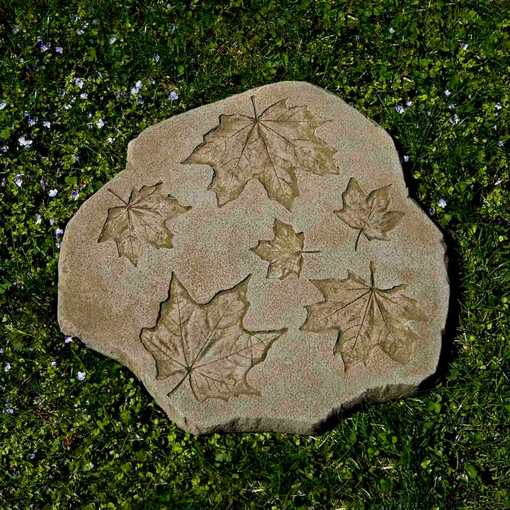 Sugar Maple Stepper