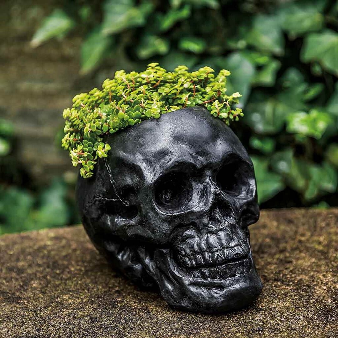 Skull Planter
